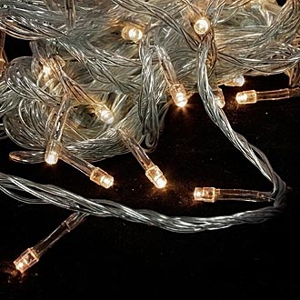 
						  100LED 220V 4W 10m WW