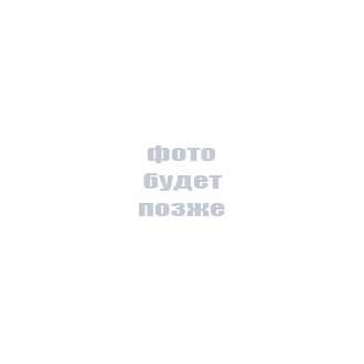 Электродруг