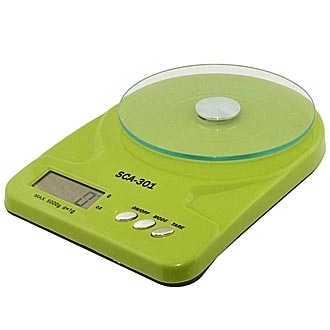 
						  TS-301 5kg/1g