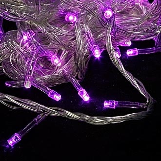 
						  100LED 220V 4W 10m Purple